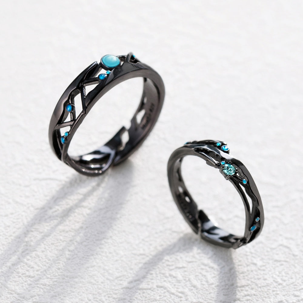Encounter Milky Way Rings